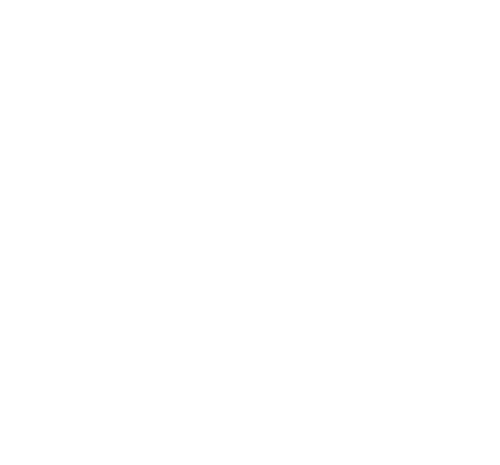 bop official brand
